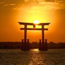 Opdag kvalitetsvarer fra Japan